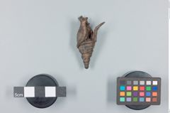 Foto (Seitenansicht) von buddistisches Amulett 4 (NHMW-ZOO-MO-0081100-ETH-114)